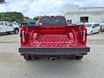 New 2024 Ford F-450 Platinum Crew Cab 4WD DRW Pickup for sale #242371 - photo 21