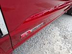 New 2024 Ford F-450 Platinum Crew Cab 4WD DRW Pickup for sale #242371 - photo 25