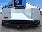 2024 Ford F-550 Regular Cab DRW 4WD Monroe Truck Equipment Service Truck for sale #242592A - photo 20