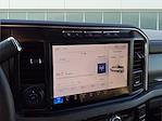 Used 2024 Ford F-250 Platinum Crew Cab for sale #25002A - photo 6