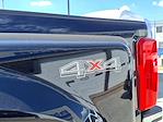 2023 Ford F-450 Crew Cab DRW 4WD Pickup for sale #25010 - photo 25