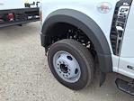 New 2025 Ford F-550 XL Regular Cab Cab Chassis for sale #250543 - photo 15