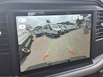 2025 Ford F-150 Regular Cab 4WD Pickup for sale #250717 - photo 8