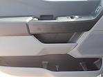 New 2025 Ford F-250 XLT Regular Cab 4WD Pickup for sale #250756 - photo 13