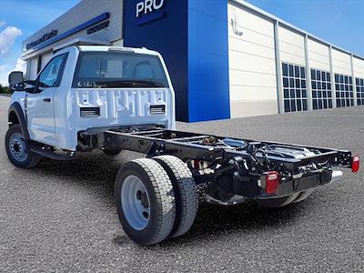2026 Ford F-450 Regular Cab DRW RWD Cab Chassis for sale #260059 - photo 1