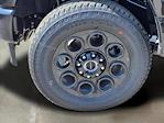 2026 Ford F-250 Crew Cab 4WD Pickup for sale #260106 - photo 17
