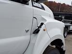 New 2026 Ford F-650 Regular Cab Cab Chassis for sale #260142 - photo 26