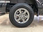 2024 Ford F-150 SuperCrew Cab 4x4 Pickup for sale #27318 - photo 14