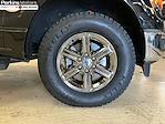 2024 Ford F-150 SuperCrew Cab 4x4 Pickup for sale #27318 - photo 16
