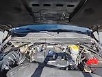 2024 Ram 3500 Crew Cab DRW 4WD Pickup for sale #596124A - photo 20