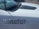 2024 Chevrolet Silverado 3500 Crew Cab 4x4 Pickup for sale #PRR10788 - photo 12