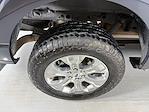 Used 2021 Ford F-150 Platinum SuperCrew Cab for sale #R261662A - photo 10