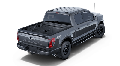 New 2025 Ford F-150 - photo 1