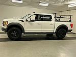 2023 Ford F-150 SuperCrew Cab 4WD Pickup for sale #D235D7750 - photo 6