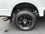 2024 Ford F-350 Crew Cab SRW 4WD Pickup for sale #514526B - photo 11