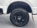 2024 Ford F-350 Crew Cab SRW 4WD Pickup for sale #514526B - photo 12