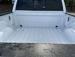 2025 Ram 2500 Crew Cab 4x4 Pickup for sale #515479 - photo 19