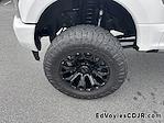 Used 2017 Ford F-250 Platinum Crew Cab for sale #515848A - photo 13