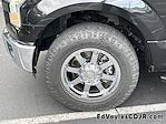 2015 Ford F-150 SuperCrew Cab RWD Pickup for sale #5P52386A - photo 12