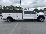 2020 Ford F-450 Crew Cab DRW RWD Cab Chassis for sale #5P52450A2 - photo 1