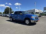 2010 Ford F-150 SuperCrew Cab 4WD Pickup for sale #B4629A - photo 6