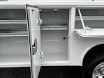 2024 Ram 5500 Regular Cab DRW RWD Cab Chassis for sale #T24140 - photo 14