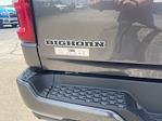 2025 Ram 1500 Crew Cab 4x4 Pickup for sale #25219 - photo 6