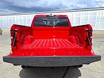 2025 Ram 1500 Crew Cab 4x4 Pickup for sale #14590 - photo 5