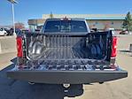 New 2025 Ram 1500 Big Horn Crew Cab 4x4 Pickup for sale #SN701727 - photo 19