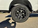 2025 Ford F-150 SuperCrew Cab 4WD Pickup for sale #F53736 - photo 11