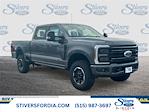 New 2026 Ford F-250 Platinum Crew Cab for sale #FA62022 - photo 1