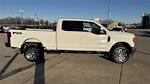 2017 Ford F-250 Crew Cab 4WD Pickup for sale #FB53152B - photo 9