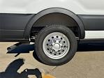 New 2025 Ford Transit 250 Medium Roof Empty Cargo Van for sale #FS54120 - photo 12