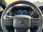 2025 Ford F-150 SuperCrew Cab 4WD Pickup for sale #K52990 - photo 28