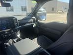 2025 Ford F-150 SuperCrew Cab 4WD Pickup for sale #K53096 - photo 19