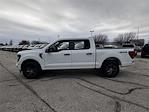 2025 Ford F-150 SuperCrew Cab 4WD Pickup for sale #K53574 - photo 7