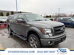 Used 2013 Ford F-150 SuperCrew Cab for sale #K53673B - photo 1