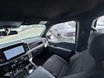 2025 Ford F-150 SuperCrew Cab 4WD Pickup for sale #K53717 - photo 41