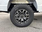 2025 Ford F-150 SuperCrew Cab 4WD Pickup for sale #K53742 - photo 13