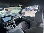New 2025 Ford F-150 XLT SuperCrew Cab for sale #K53836 - photo 20