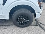 New 2025 Ford F-150 XLT SuperCrew Cab for sale #K53862 - photo 14