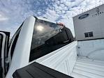 New 2025 Ford F-150 XLT SuperCrew Cab for sale #K53873 - photo 25