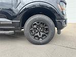 New 2025 Ford F-150 XLT SuperCrew Cab for sale #K54041 - photo 18