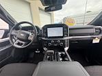 New 2025 Ford F-150 XLT SuperCrew Cab for sale #K54041 - photo 27