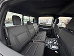 New 2025 Ford F-150 XLT SuperCrew Cab for sale #K54095 - photo 13