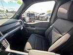 New 2025 Ford F-150 XLT SuperCrew Cab for sale #K54100 - photo 39