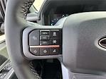2025 Ford F-150 SuperCrew Cab 4WD Pickup for sale #K54104 - photo 29