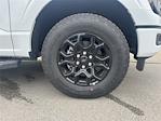2025 Ford F-150 SuperCrew Cab 4WD Pickup for sale #K54293 - photo 11