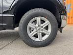 New 2025 Ford F-150 XLT SuperCrew Cab for sale #K54309 - photo 11