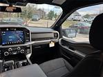 New 2025 Ford F-150 XLT SuperCrew Cab for sale #K54433 - photo 17